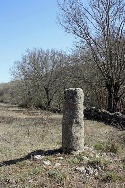 Cantagallo