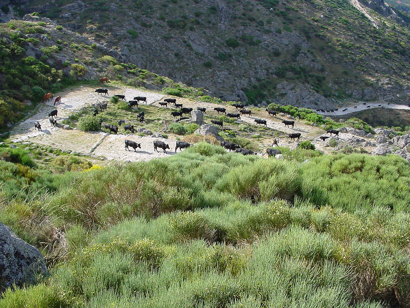 puertoelpico01