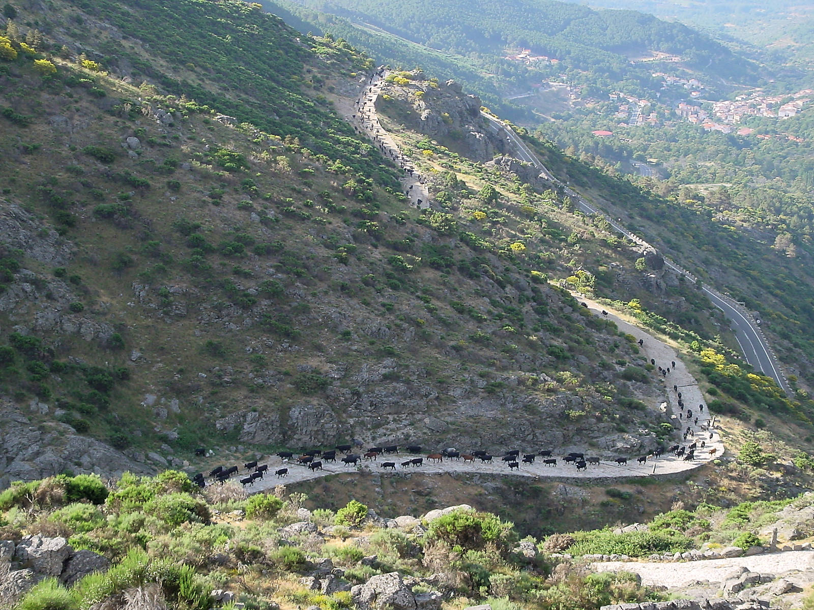 puertoelpico03