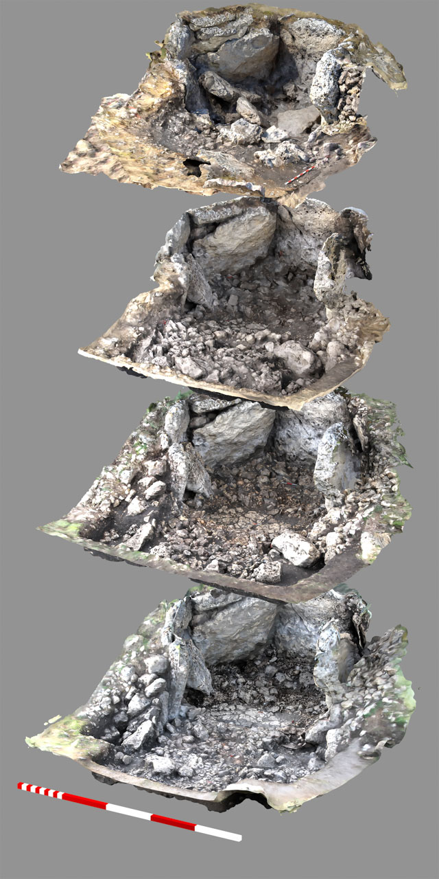 Sucesion plantas
