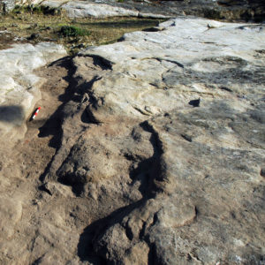 CANICOSA, QUINTANAR Y REGUMIEL DE LA SIERRA (COMUNERO DE REVENGA) 