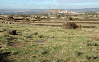 VILVESTRE