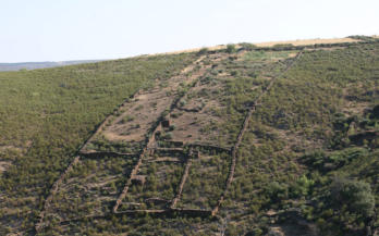 CASTILLEJO DE MARTÍN VIEJO