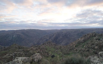 LA FREGENEDA