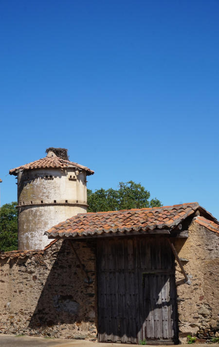 PALOMAR. EL BODÓN