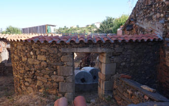 ALMAZARA. SAUCELLE
