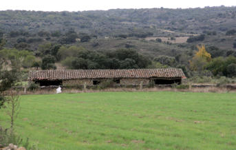 TENADA. BERMELLAR