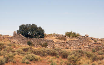 CORRAL. VILLARINO