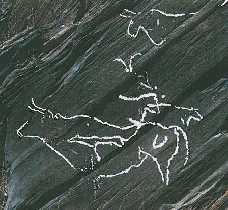 panel 5a nueva guía