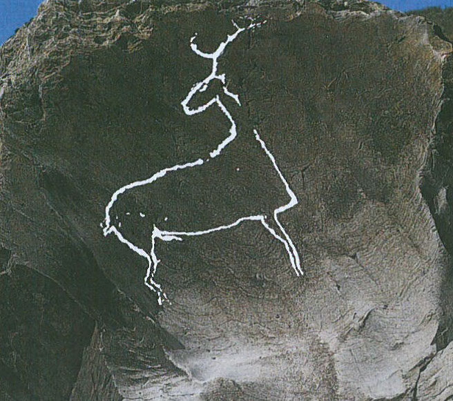 panel 7a nueva guía