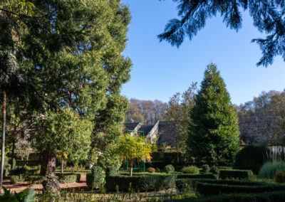 Vista general del jardín romántico con las especies vegetales