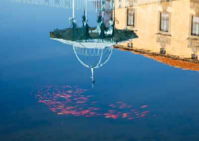 Reflejo en el agua del estanque