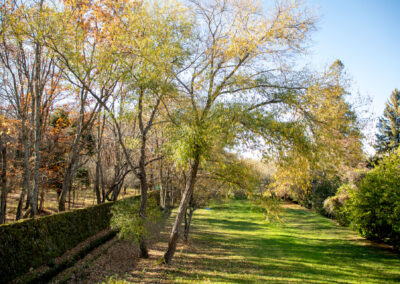 Vista de la terraza lateral sur junto al jardín