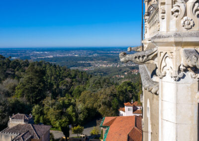 Detalle de gárgola y vista aérea