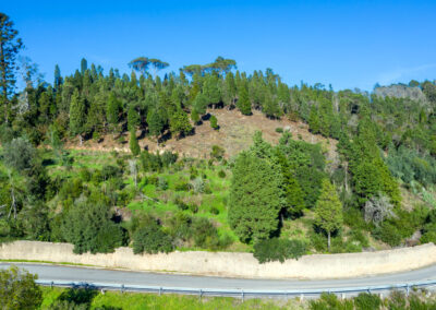 Vista del Pinar del Marqués