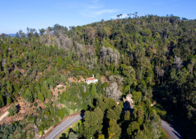 Vista aérea desde la carretera