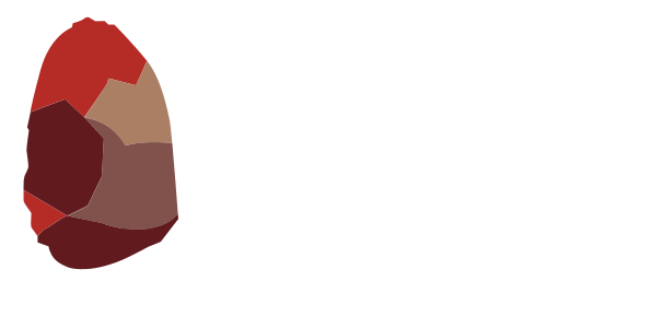 Centro Nacional de investigación sobre la Evolución Humana (CENIEH)