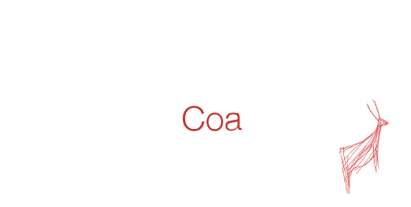 Fundação Côa Parque