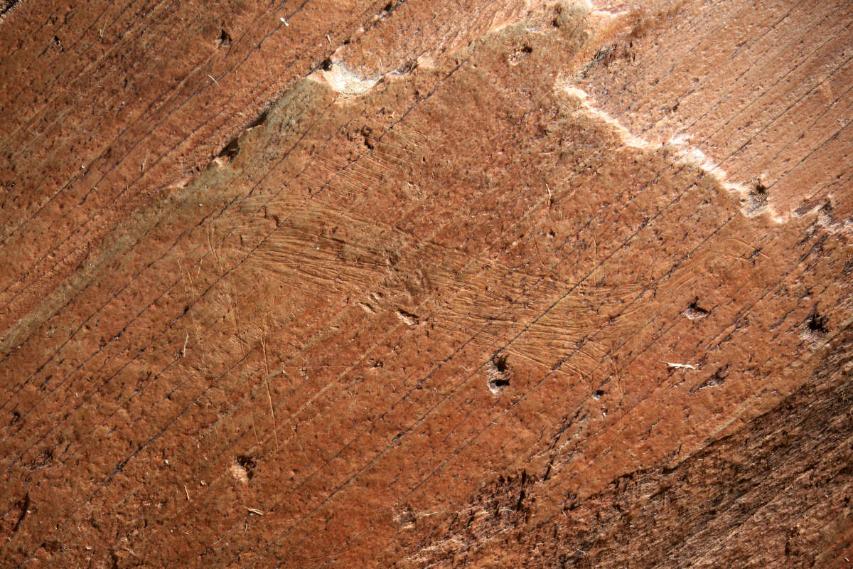 PANEL 92