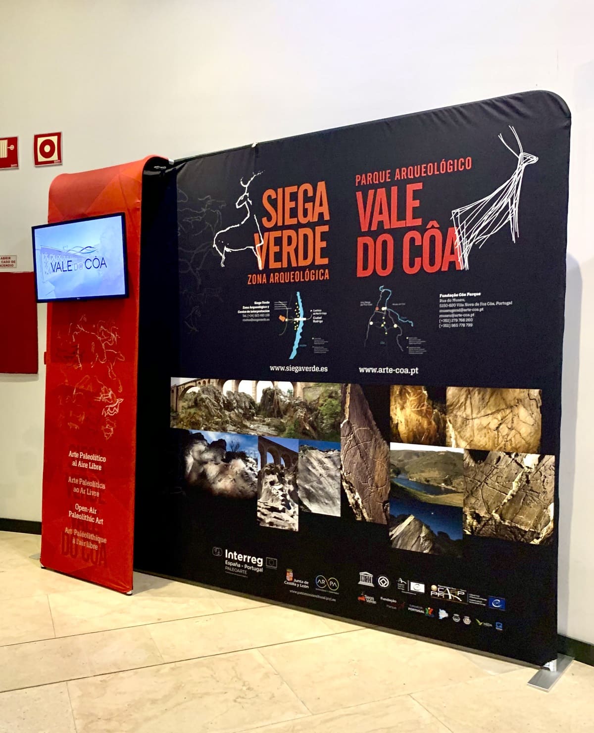 “A arte que saiu das cavernas” | MUPAC