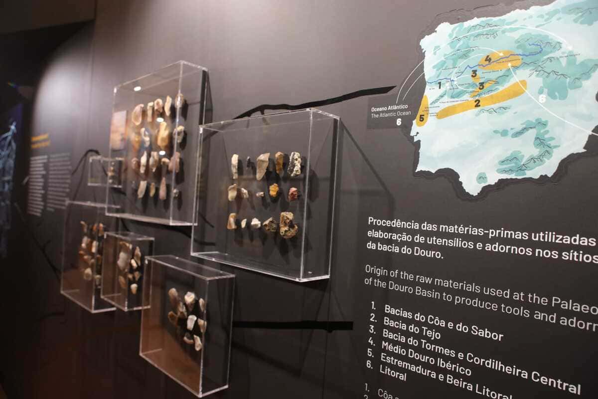 EXPOSIÇÃO CONJUNTA