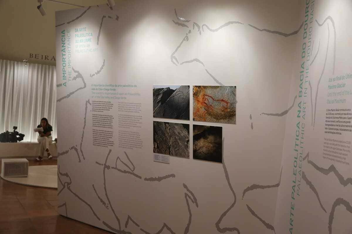 EXPOSIÇÃO CONJUNTA