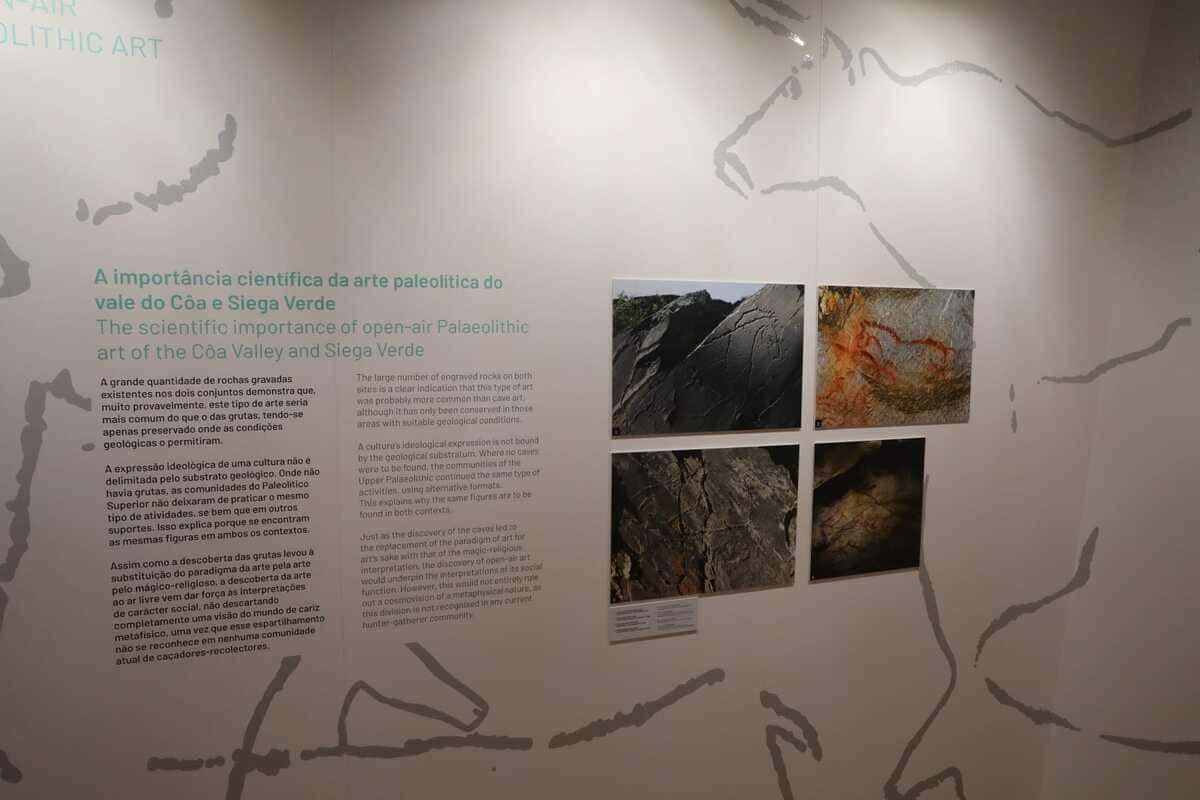 EXPOSIÇÃO CONJUNTA