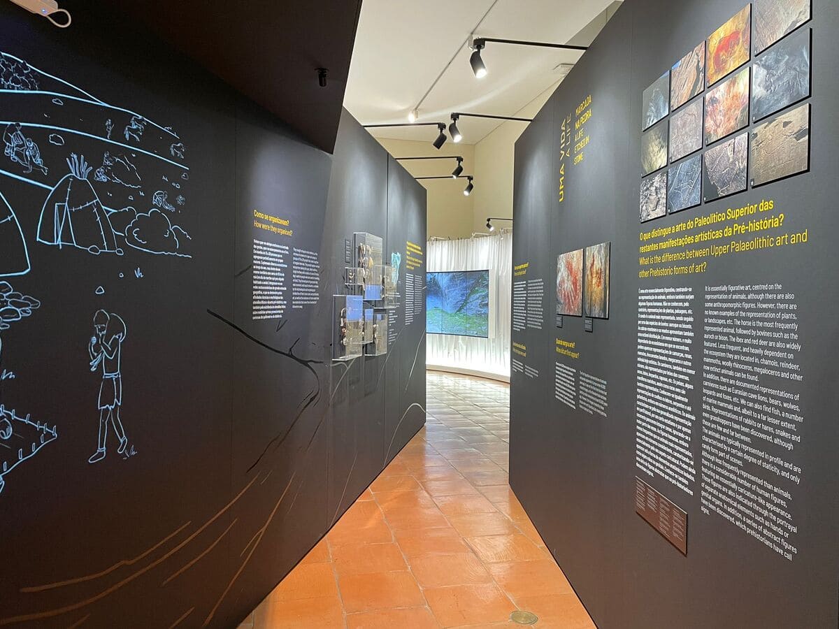 EXPOSIÇÃO CONJUNTA
