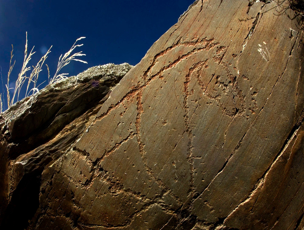 Descubren cinco rocas paleolíticas grabadas en Siega Verde