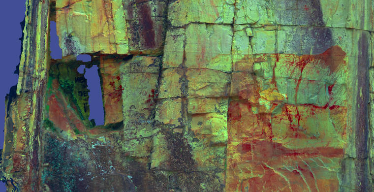 Cabras_Pintadas_orto_p1_LDS10_hs10_DS.jpeg