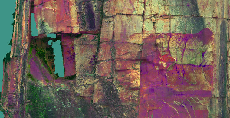 Cabras_Pintadas_orto_p1_LDS10_hs310_DS.jpeg