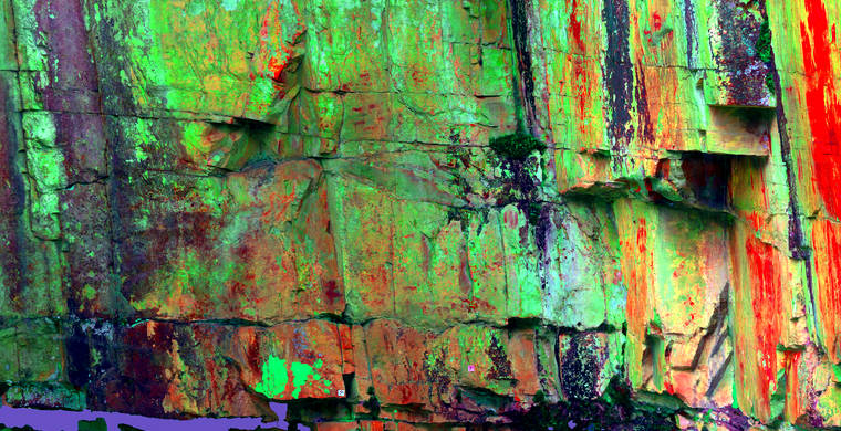 Cabras_Pintadas_orto_p2_YDS15_hs29_DS.jpeg