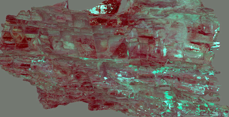 Lera2_panel2_orto_yre12.5_DS.jpeg