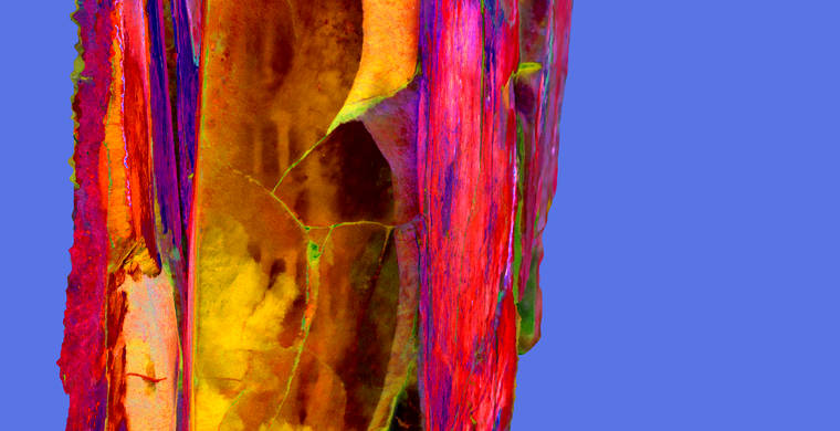 Orto_Majadilla1_p9_crgb_hs343_DS.jpeg